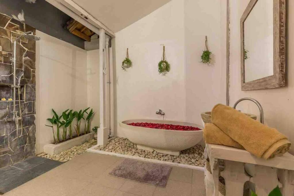 Villa Alegria Seminyak Extérieur photo